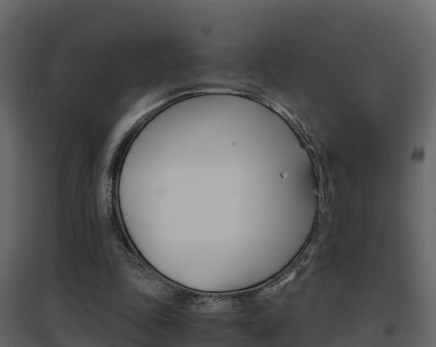 X0000096700343200802051106