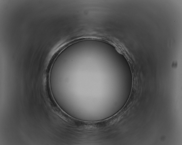 X0000096700344200802051106