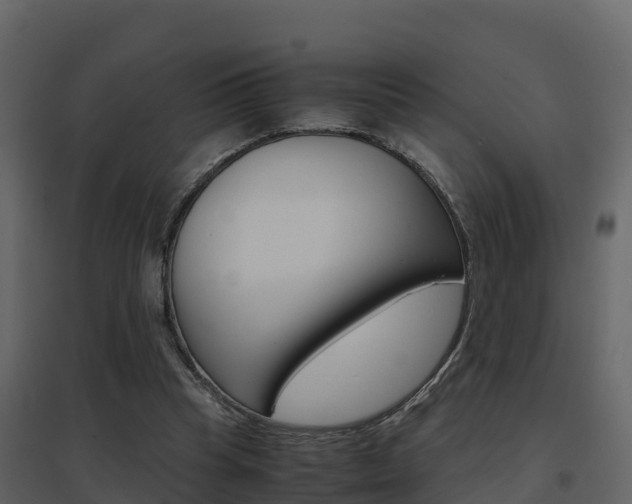X0000096700345200802051106
