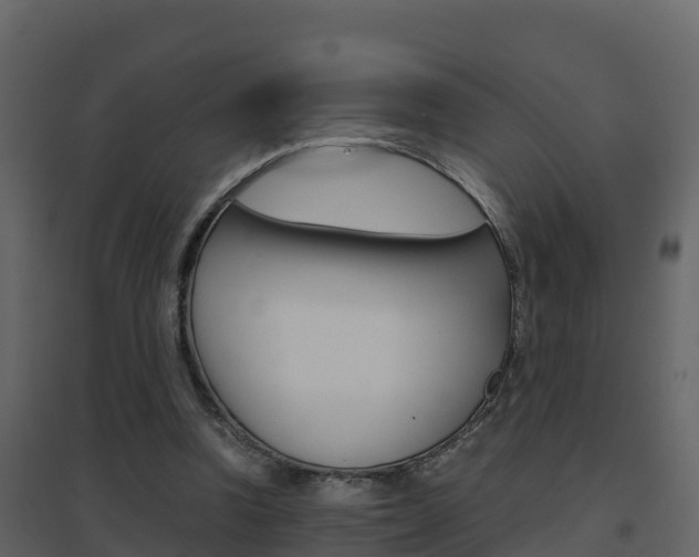 X0000096700346200802051106