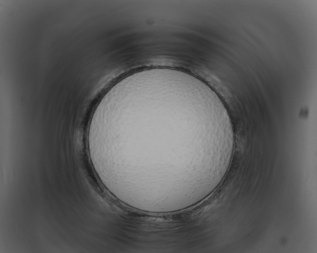 X0000096700347200802051106