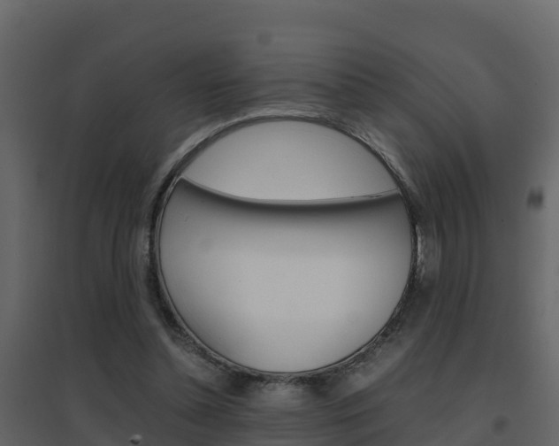 X0000096700348200802051106