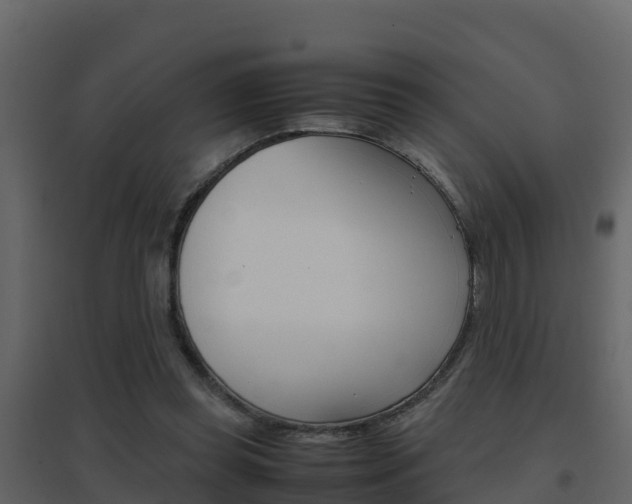 X0000096700349200802051106