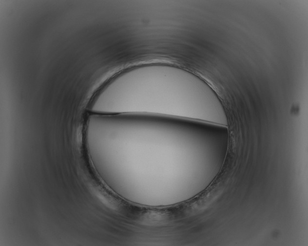 X0000096700350200802051106