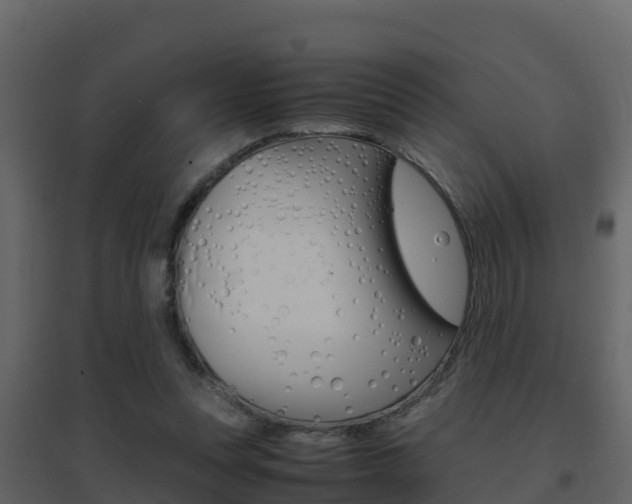 X0000096700351200802051106