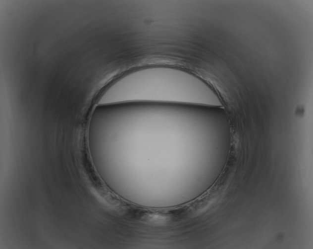 X0000096700352200802051106