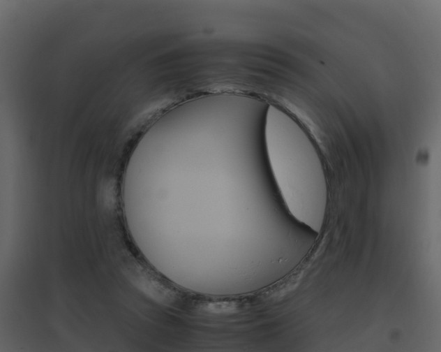 X0000096700353200802051106