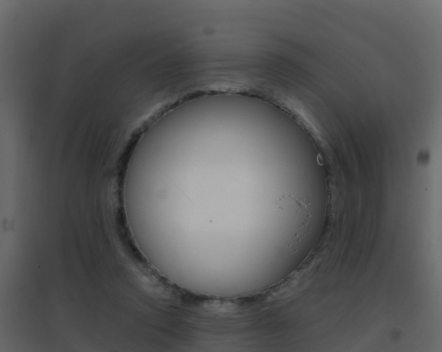 X0000096700354200802051106