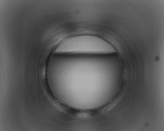 X0000096700358200802051106