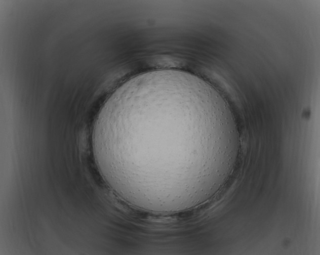 X0000096700359200802051106