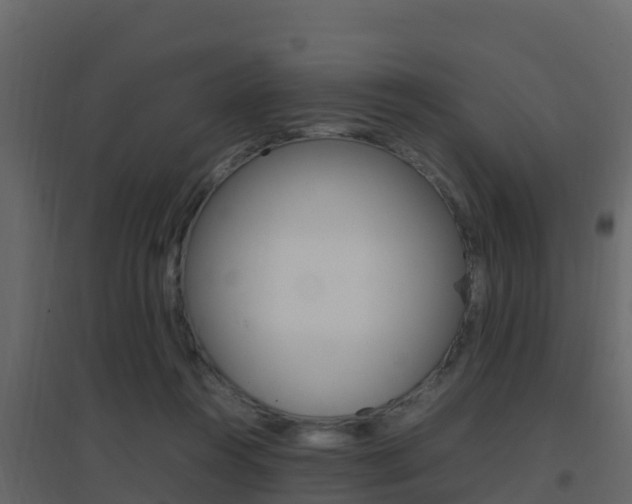 X0000096700360200802051106
