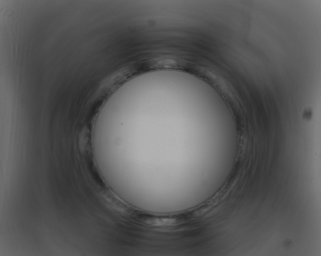 X0000096700361200802051106