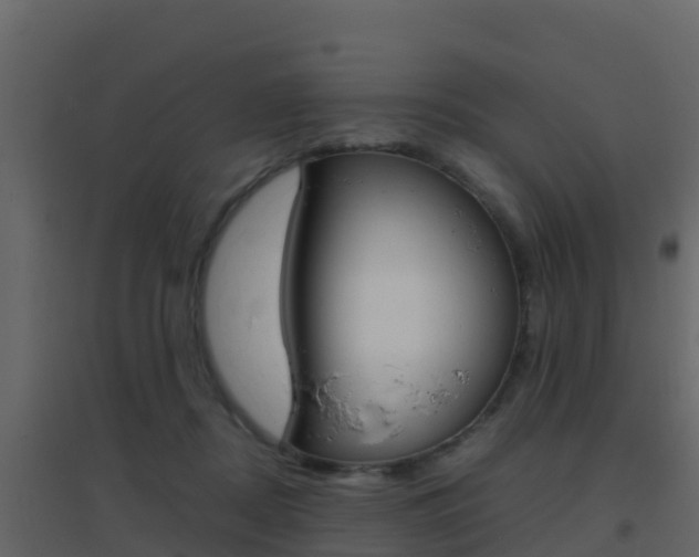 X0000096700362200802051106