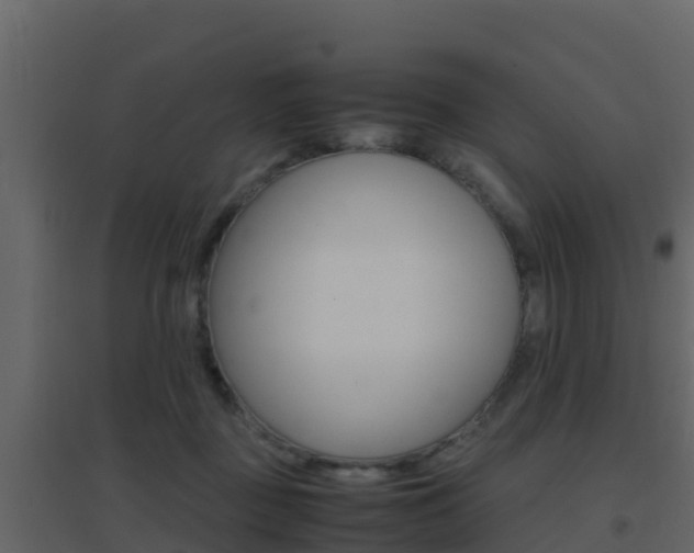 X0000096700363200802051106