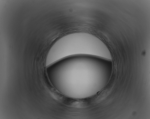X0000096700364200802051106