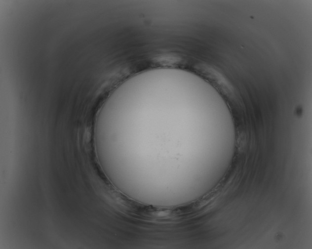 X0000096700365200802051106