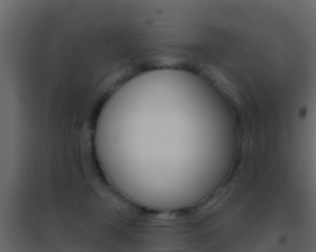 X0000096700366200802051106