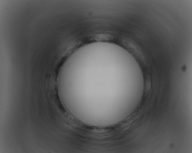 X0000096700367200802051106