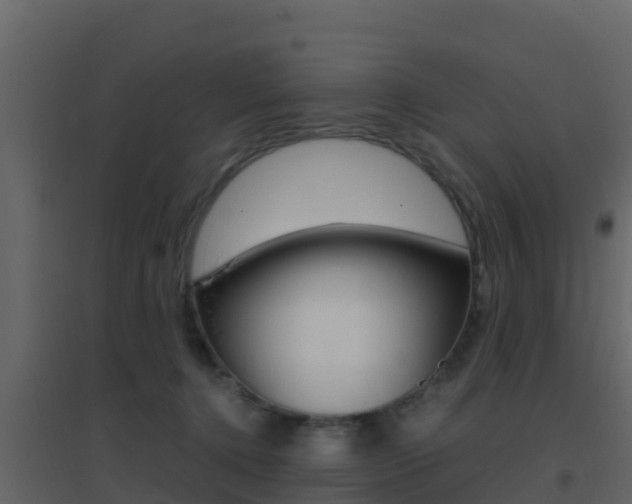 X0000096700368200802051106