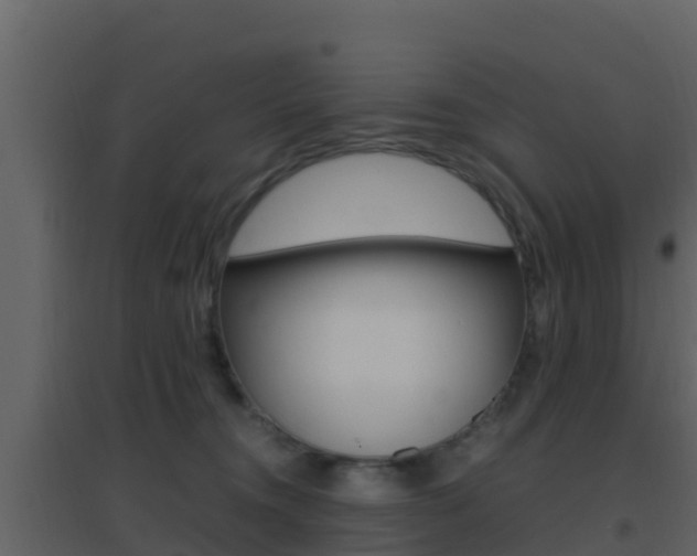 X0000096700372200802051107
