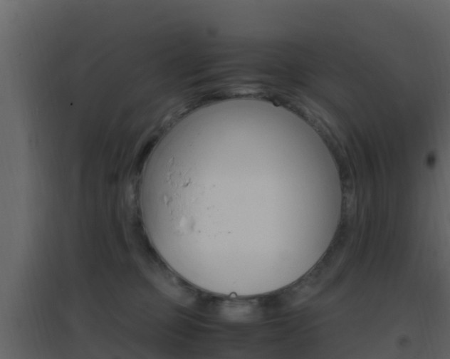 X0000096700373200802051107