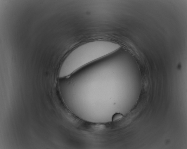 X0000096700374200802051107