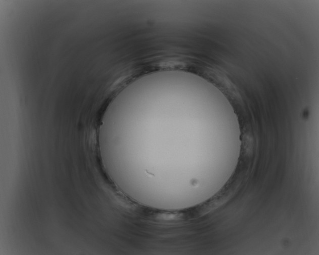 X0000096700375200802051107
