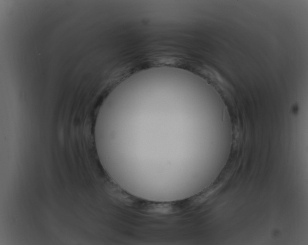X0000096700377200802051107