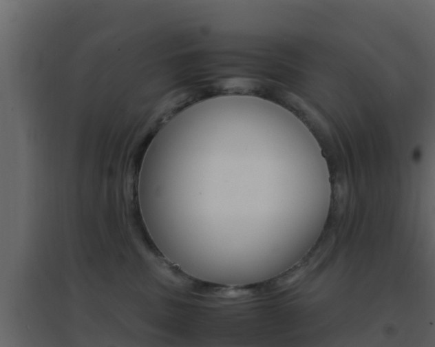 X0000096700379200802051107