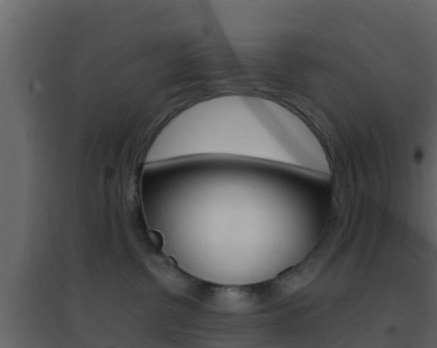 X0000096700380200802051107