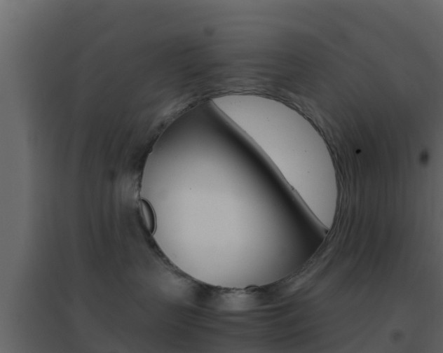 X0000096700383200802051107