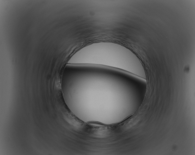 X0000096700384200802051107