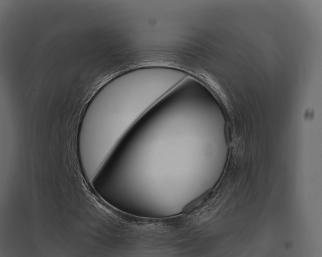 X0000096700385200802051106