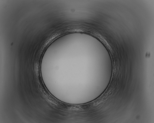 X0000096700386200802051106