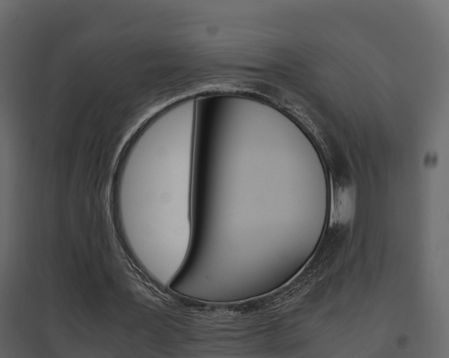 X0000096700387200802051106