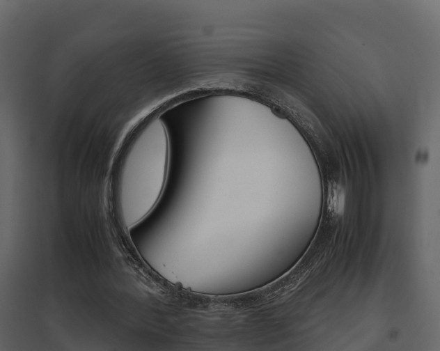 X0000096700388200802051106