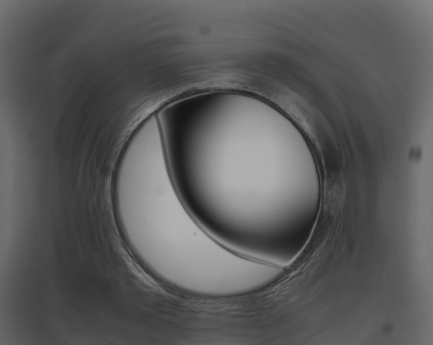 X0000096700389200802051106