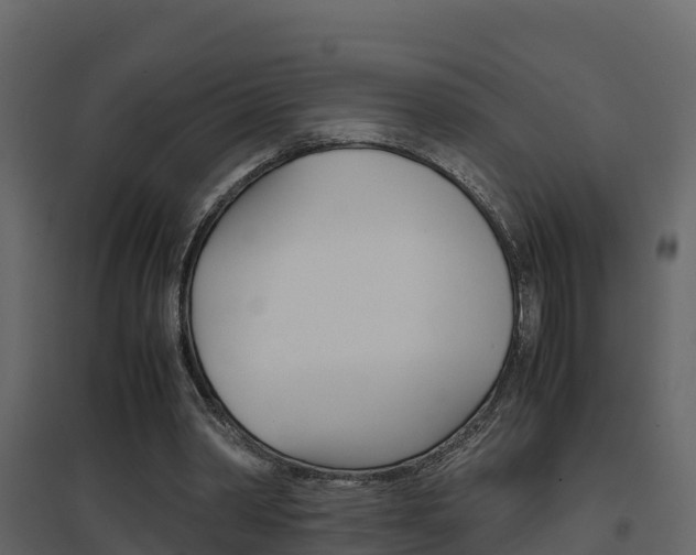 X0000096700390200802051106