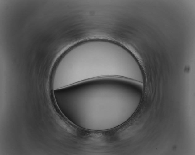 X0000096700391200802051106