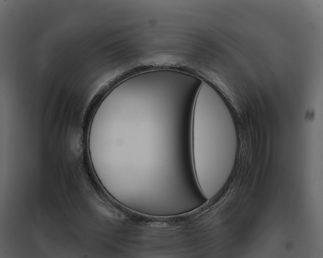 X0000096700392200802051106