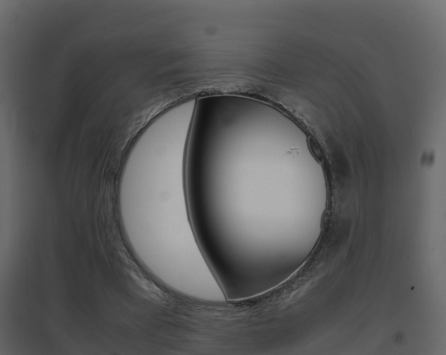 X0000096700393200802051106