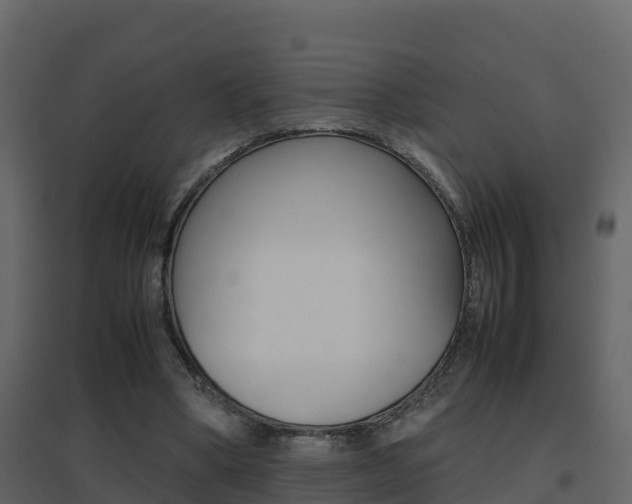X0000096700394200802051106