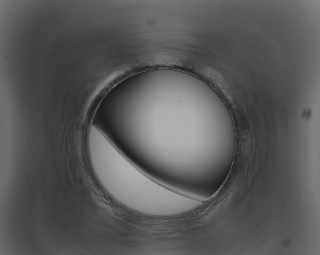 X0000096700395200802051106
