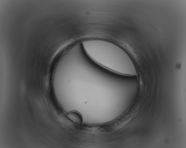 X0000096700396200802051106