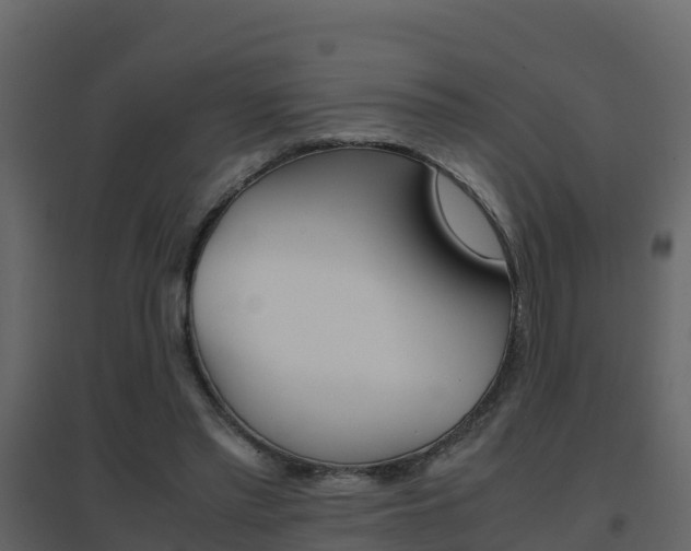 X0000096700397200802051106