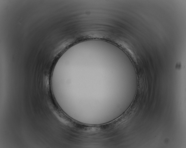 X0000096700398200802051106