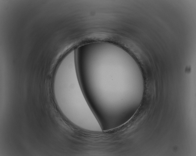 X0000096700399200802051106