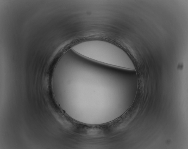 X0000096700400200802051106