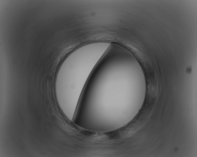 X0000096700403200802051106