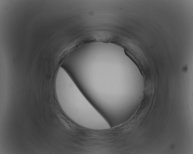 X0000096700405200802051106
